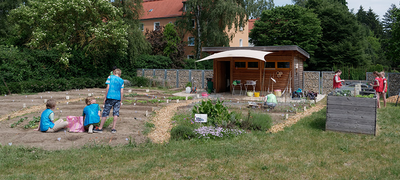 Der Schulgarten - ein Ort mit Gesundheitspotenzial?