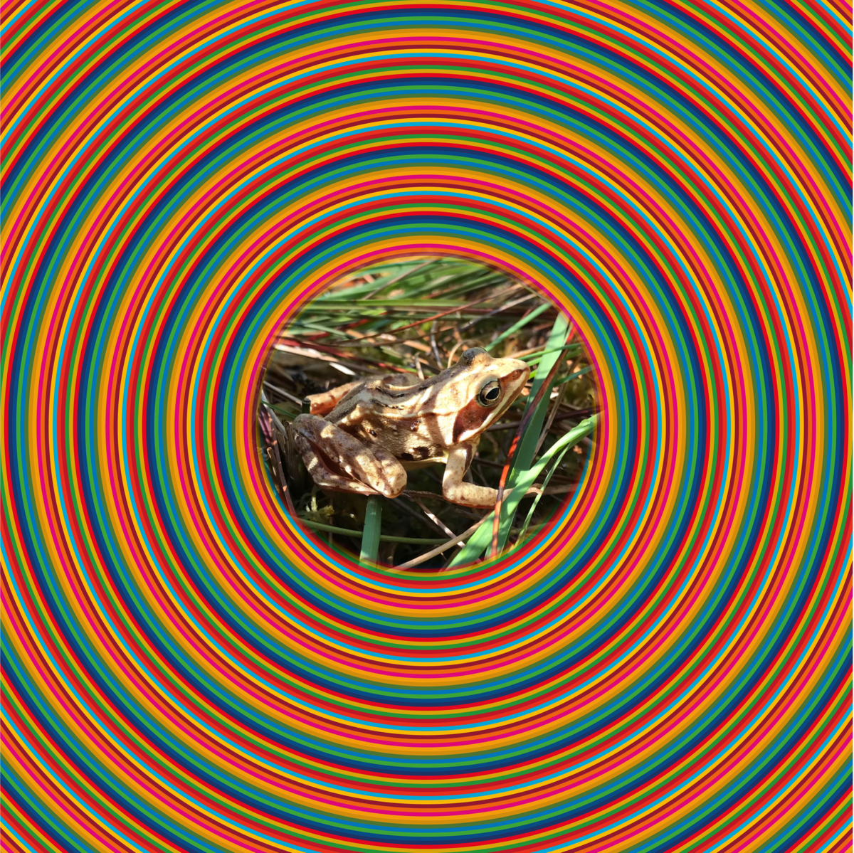 # 17 Ziele - BNE im Freien